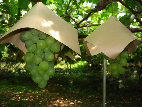 b64997f8.jpg