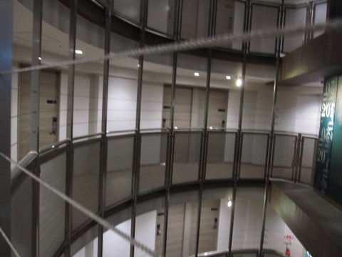 IMG_8859