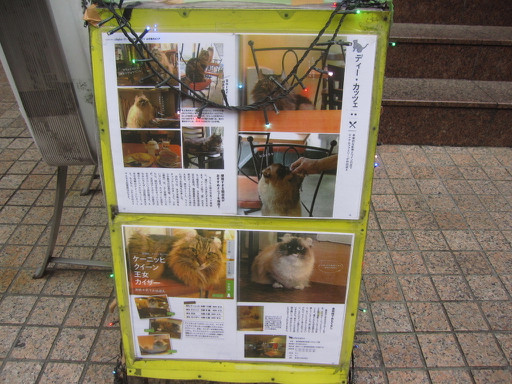 新宿御苑 ディー カッツェ スパイシーチキンカレー Tommyのきままなグルメランチ日記