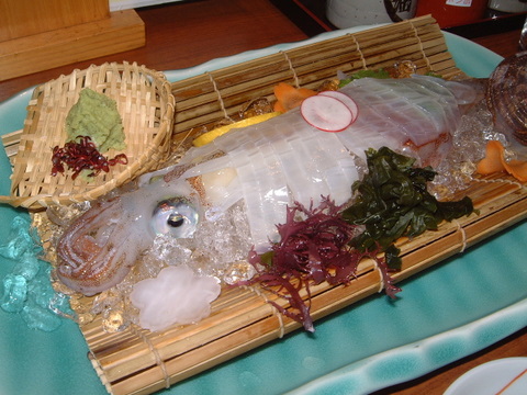 f570b8c9.jpg
