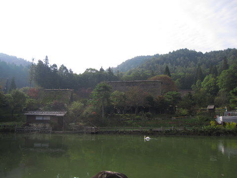 2011_1010_082936AA