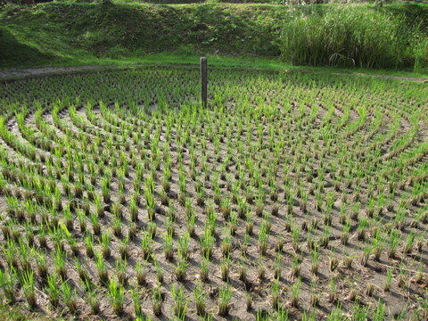 2011_1010_092403AA