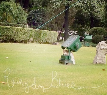 o0380033812298533569