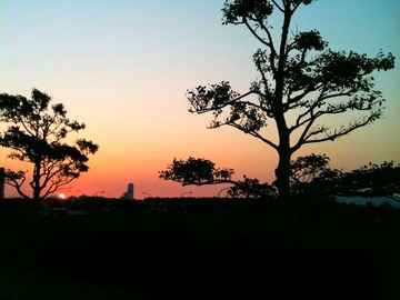 313052_2107466962800_1129320078_31972821_1840114039_n