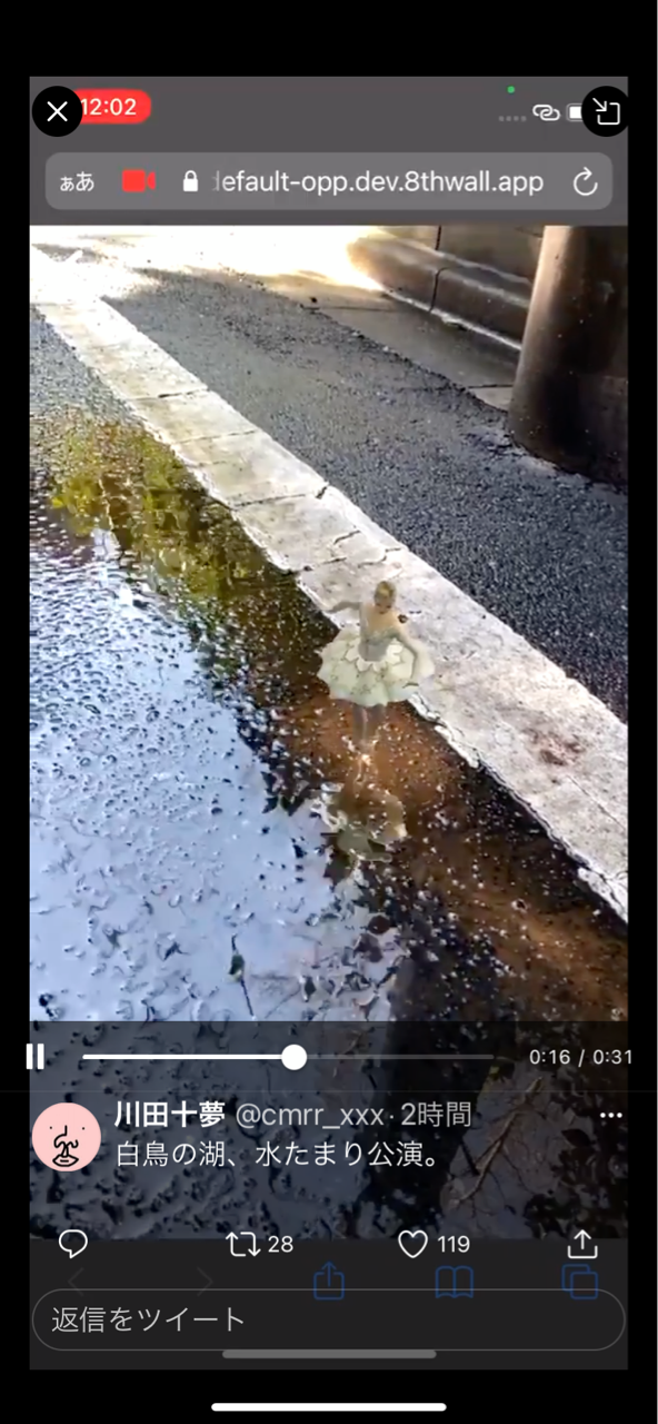 水たまりに映る白鳥 十夢の文字列のつらなり