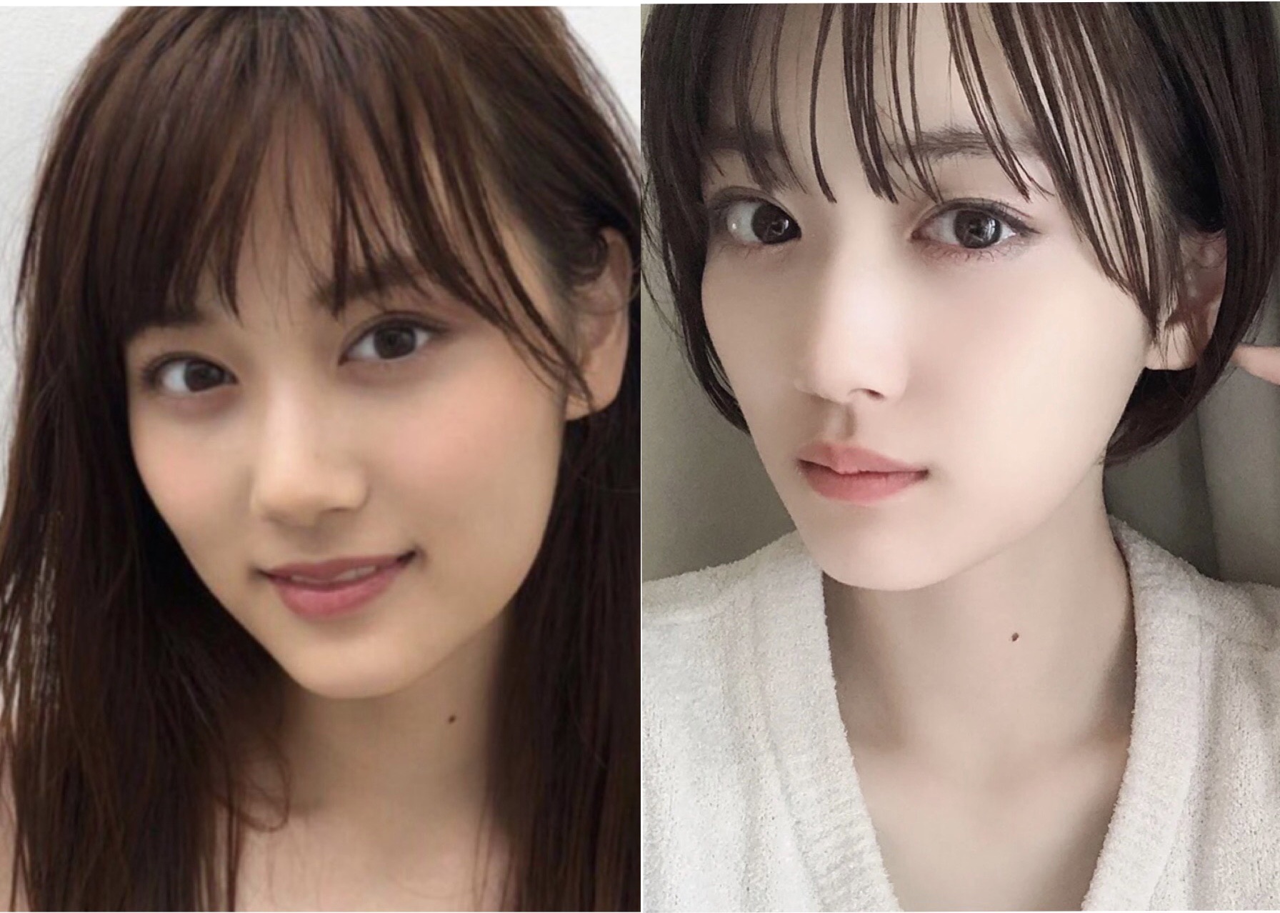 ロング派 ショート派 髪を切った乃木坂メンバーまとめ 乃木坂46 今 話したい坂道がある ロング派 ショート派 髪を切った乃木坂メンバーまとめ 乃木坂46 今 話したい坂道がある