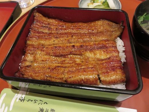 札幌市中央区 鰻二葉 くにひら亭で絶品うな重 旅 食 酒 そして猫 札幌市中央区 鰻二葉 くにひら亭で絶品うな重 旅 食 酒 そして猫