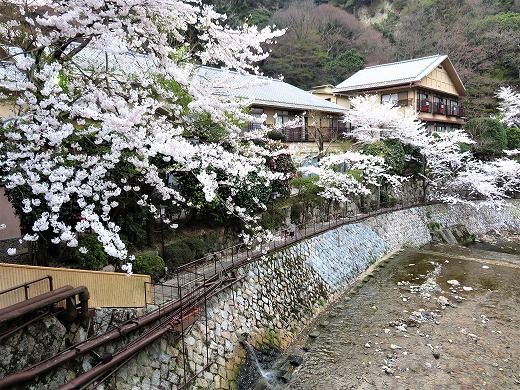 有馬温泉 月光園 游月山荘 の桜と露天風呂 旅 食 酒 そして猫 有馬温泉 月光園 游月山荘 の桜と露天風呂 旅 食 酒 そして猫
