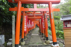 P1010919