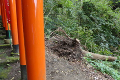 P1020014