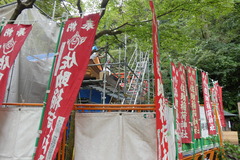 P1020005