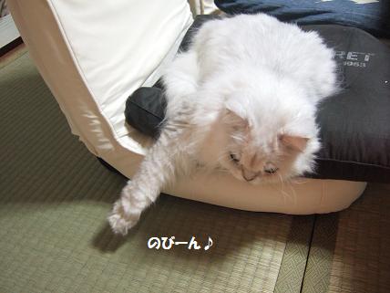 2009_1025みゅう0003