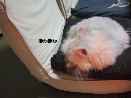 2009_1025みゅう0002