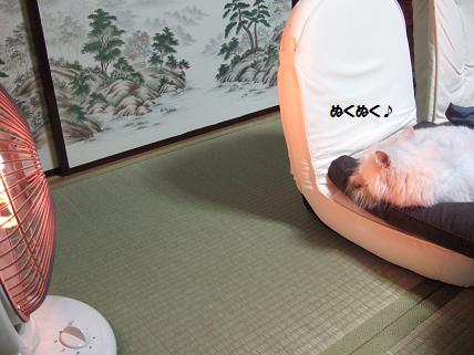 2009_1025みゅう0001