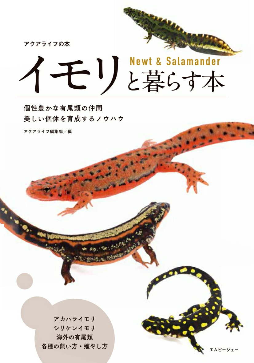 シャックシリーズ　イモリ シャックシリーズ イモリ 【公式通販】