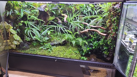 イモリウム　TJページ 環境構成色々 : トモのイモリ記録