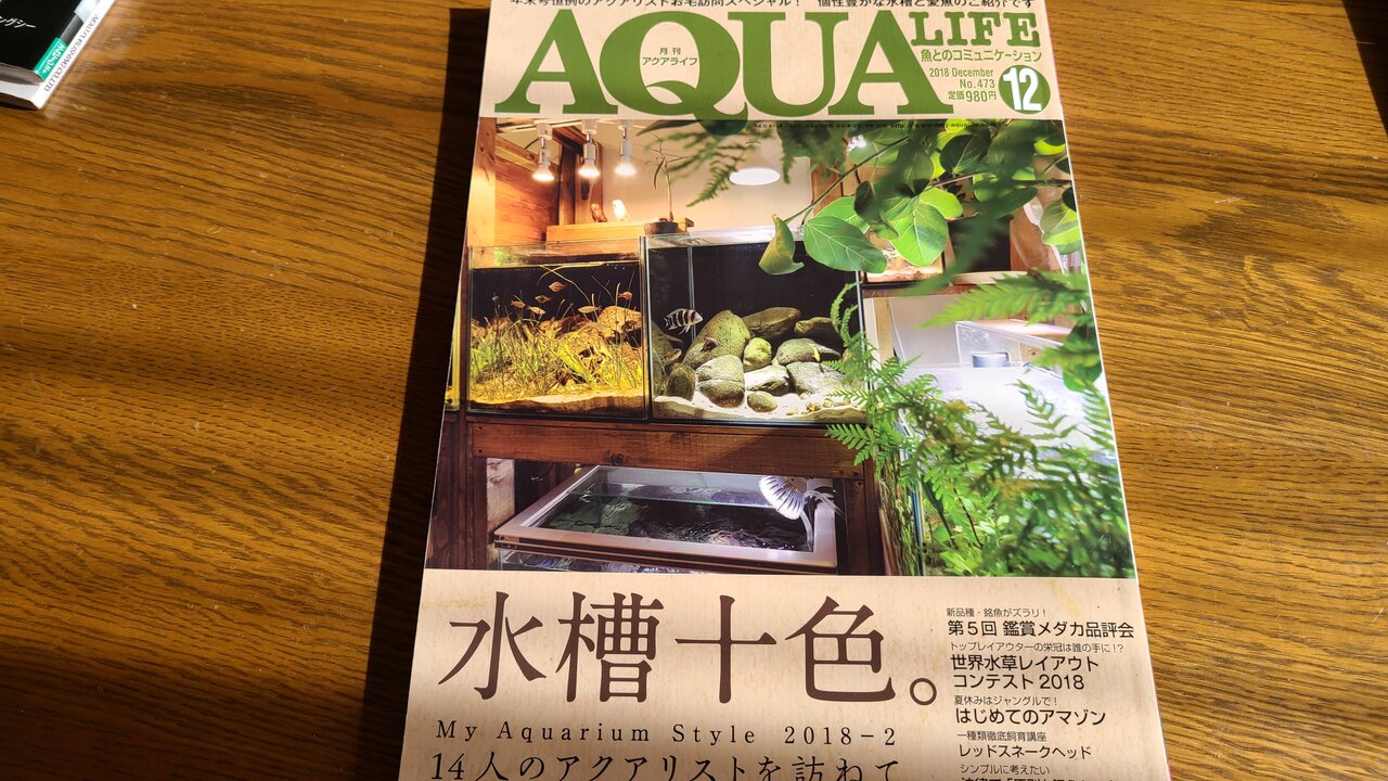 AQUA LIFE 2020年5月号・11月号 AQUA LIFE 2020年5月号・11月号 月刊アクアライフ 2020年 11