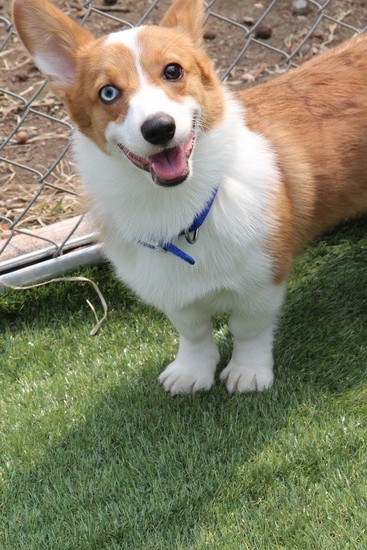 wahan6