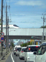 f7255d89.jpg