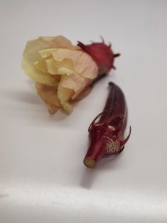 P9124413