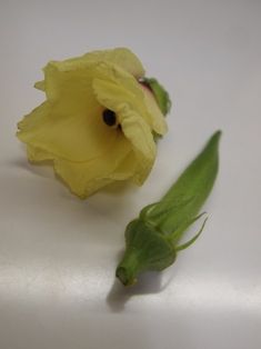 P9124411