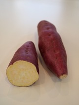 ������P2170233.JPG