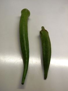 P9124433