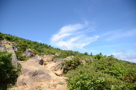 DSC_1742