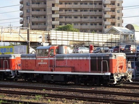 DSC04308 (2)