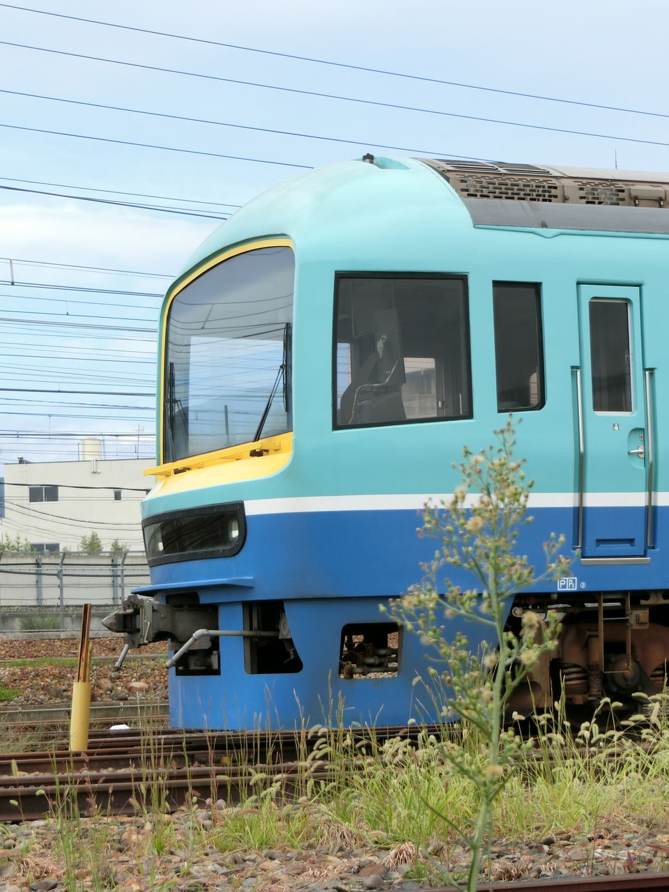 イメージ 7