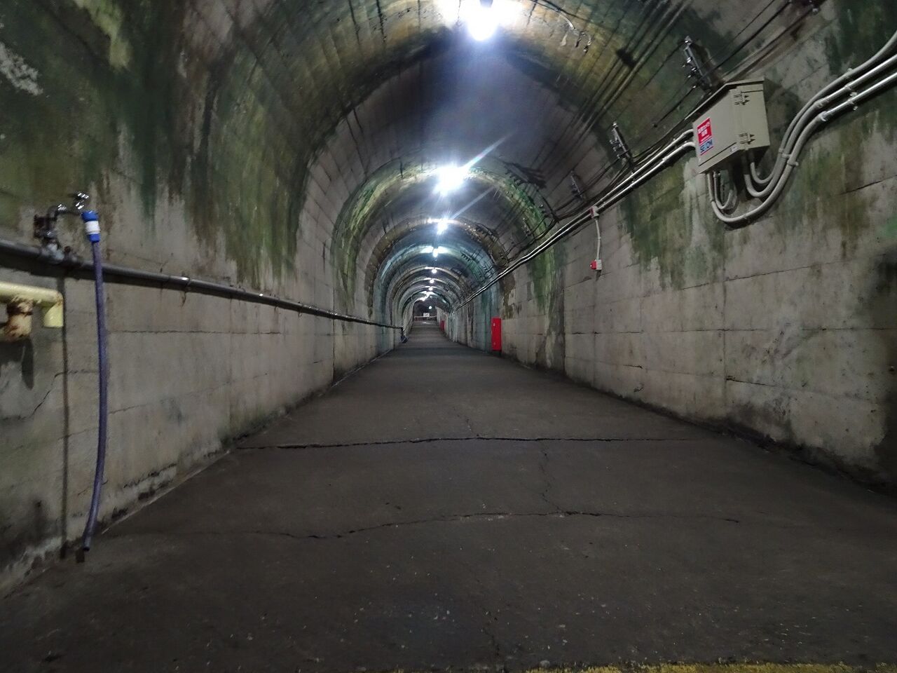 筒石駅記念入場券平成22年2月22日 コレクション