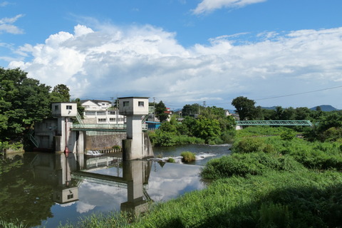 P1003103