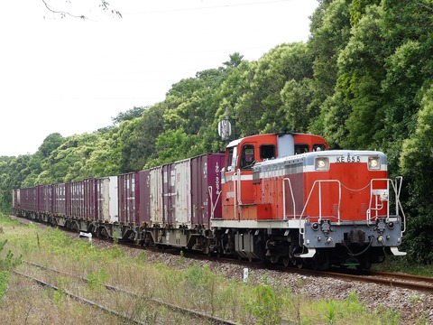 P1210679 (2)