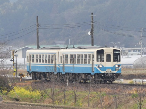 24955745-s.jpg