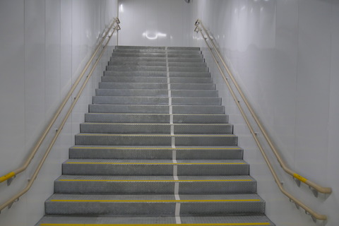 P1007684