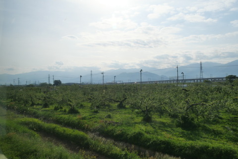 P1009247