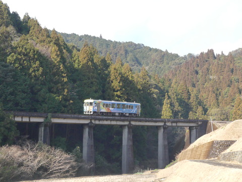 ５１３Ｄ