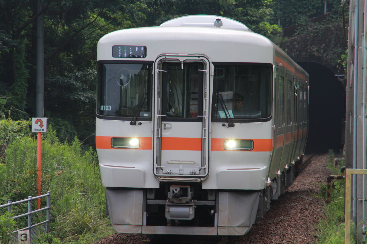 42.キハ40 2018 平成27年・夏の青春18キップ旅行記【惜別・JR東海キハ40乗車記②