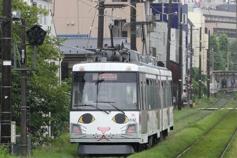 P1550385