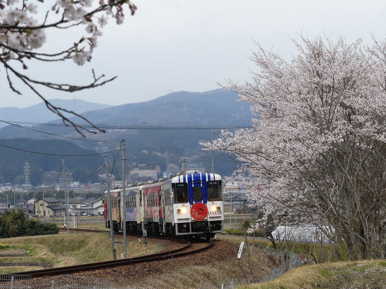 イメージ 8