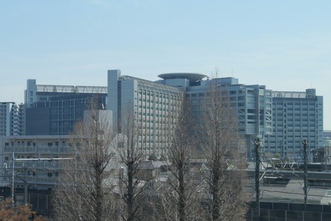 P1008102