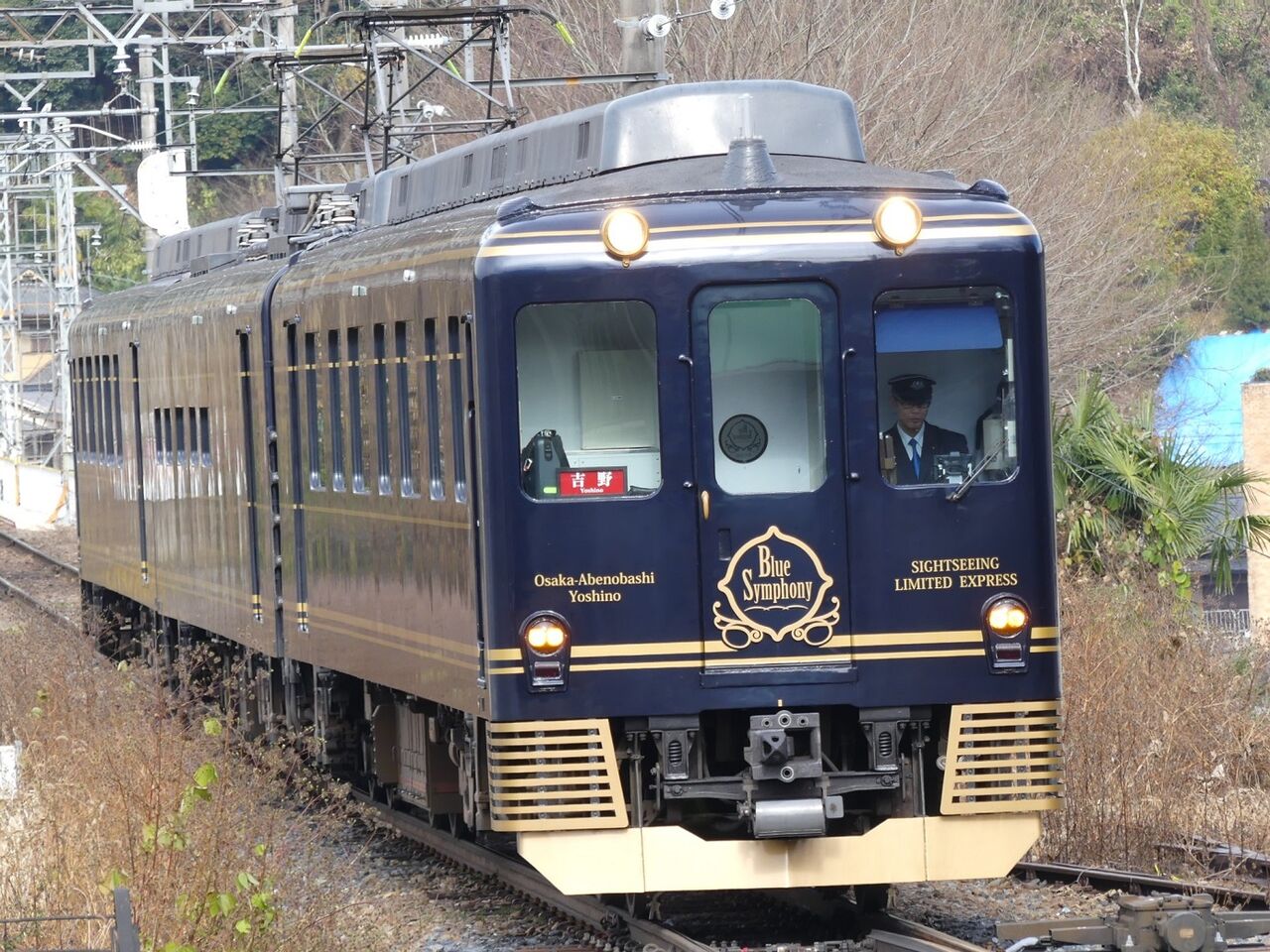 吉野特急・さくらライナー 記念入場券 7枚セット ◇近鉄◇吉野特急50