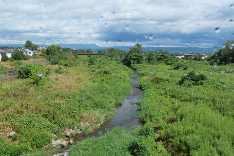 P1003094