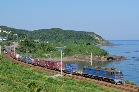 P1010559