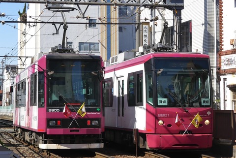 P1380330（8900形8905・8800形8801）