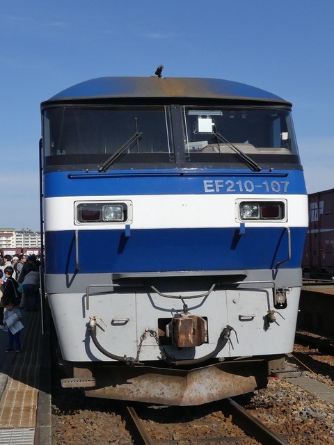 P1240195 (2)