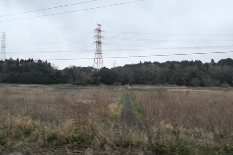 P1008004