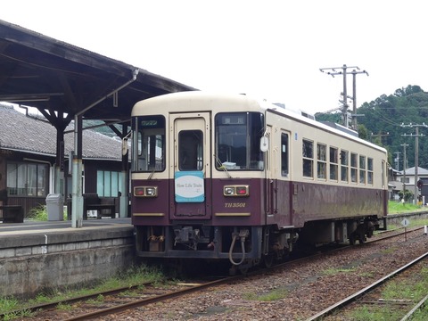 P1290530 (2)