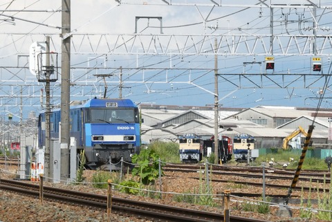 P1000445