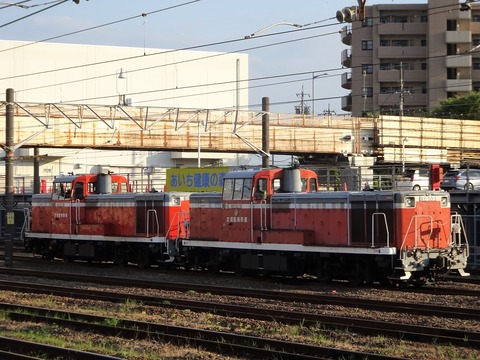 DSC04306 (2)